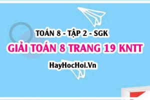 Giải Toán 8 trang 19 tập 2 Kết nối tri thức